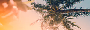 Summer Collection